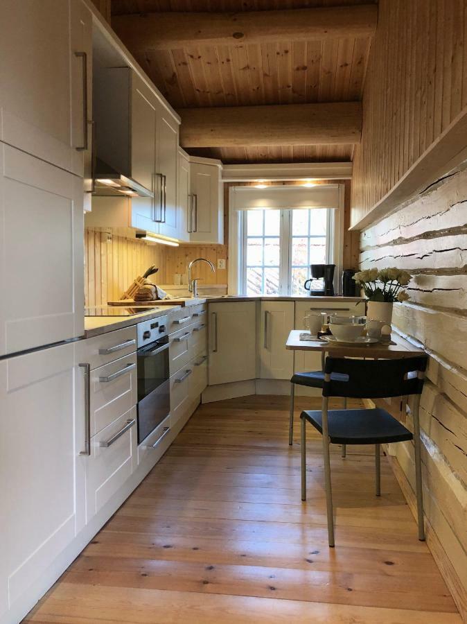 Svenskveien 23B Villa Roros Luaran gambar